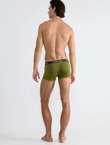 Набір боксерок чоловічих 2шт. Men Start Hipster C2P box - Taupe - Dark combination 